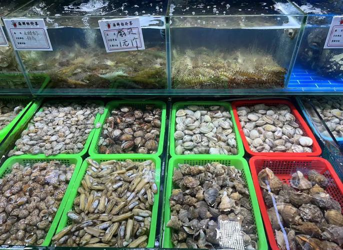 便民海鲜摊商贩摆放的鲜活花蛤带泡沫水箱