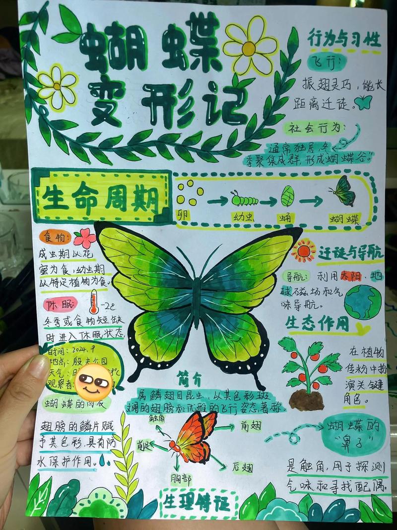 孩子观察自然中死去的蝴蝶