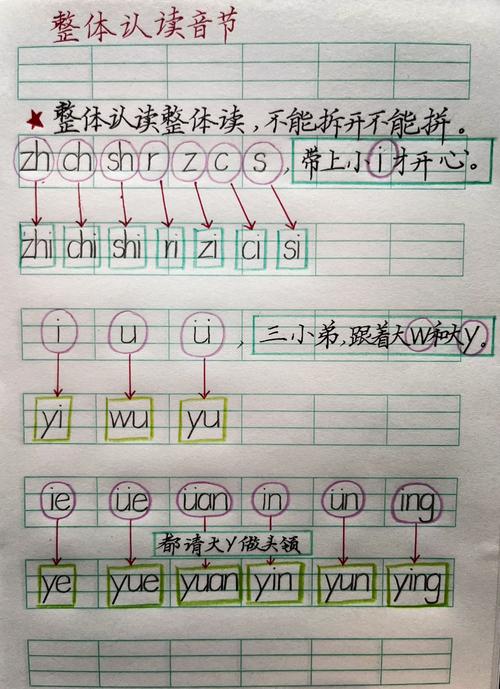 小学一年级拼音作业本手写拆分整体认读音节