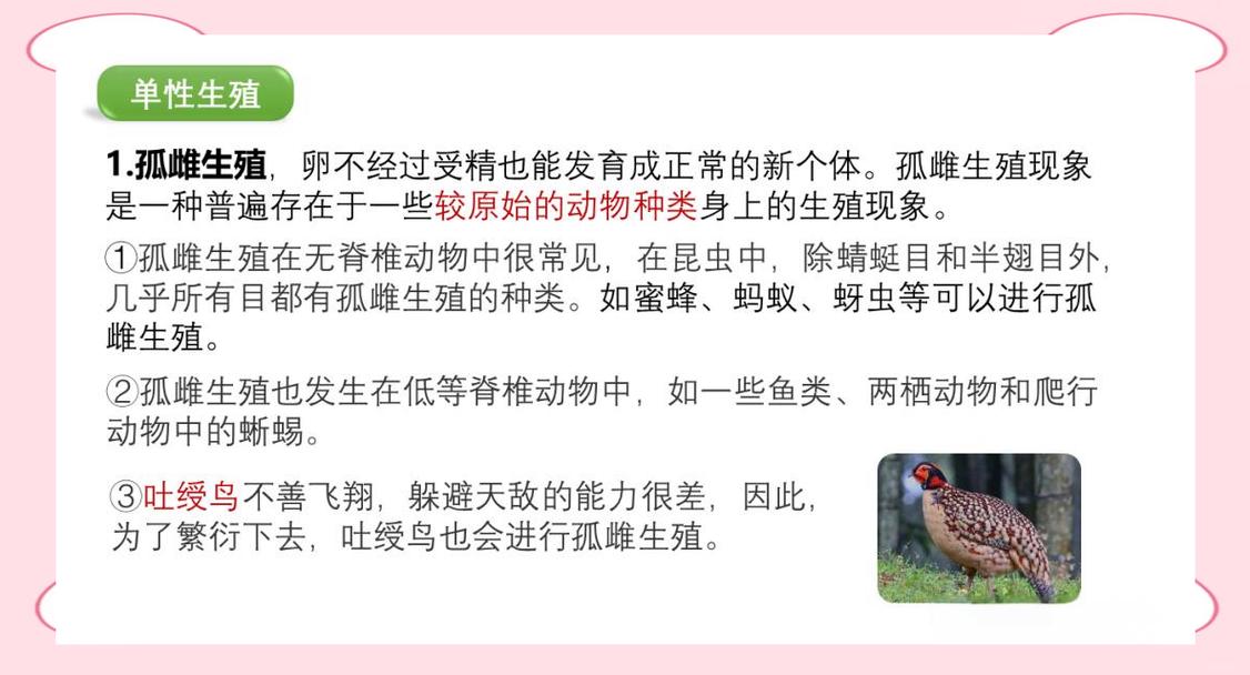 原来我们天生带着哺乳动物的印记