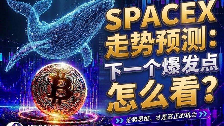 下一个爆发点在哪里