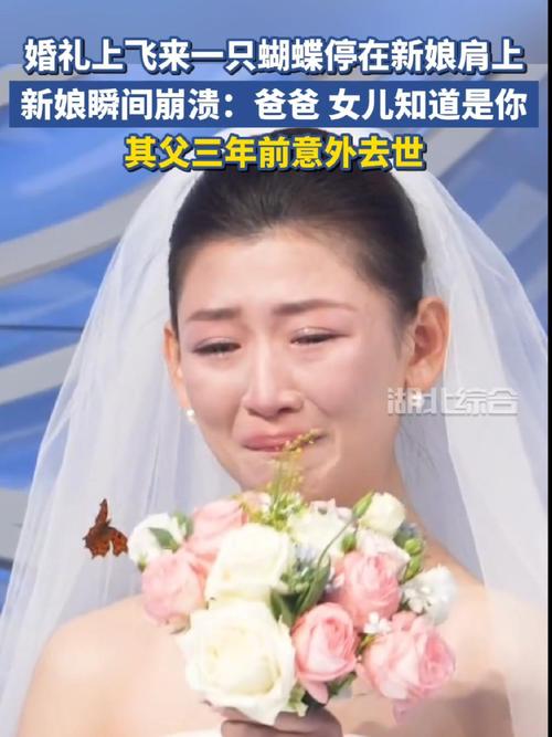 婚礼意外瞬间蝴蝶停在婚纱上