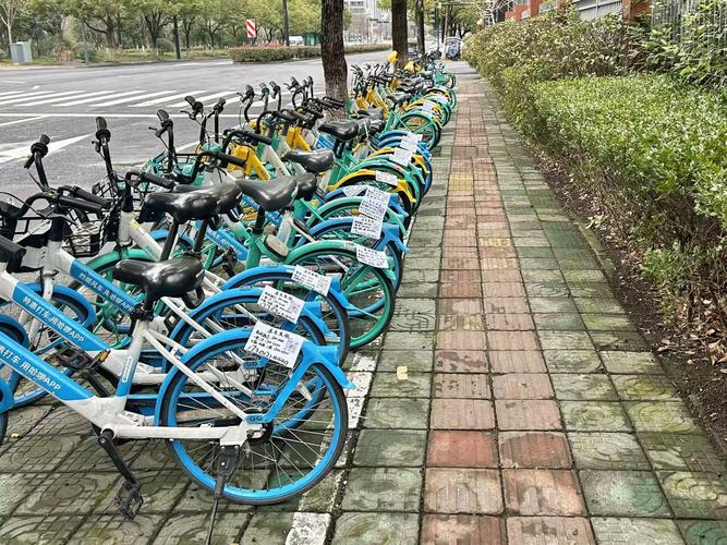 城市城郊闲置共享单车堆放现场图