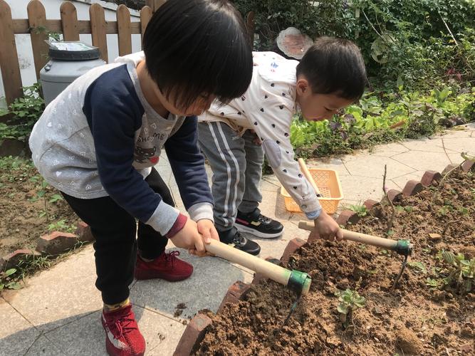 四个在家就能做的土地主题小活动