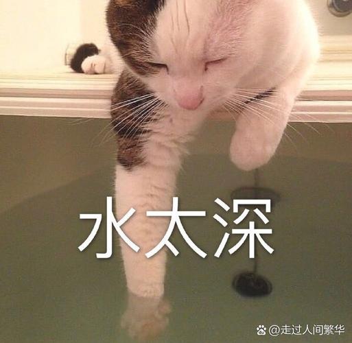 这玩意儿，水可深着呢