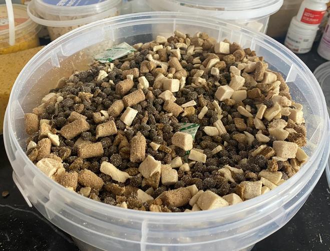 铲屎官给猫咪拌处方粮换粮实拍