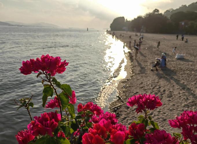 鼓浪屿钢琴码头海滨日落图