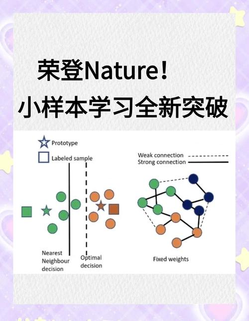从少数样本到通用能力：小样本学习的破局与边界