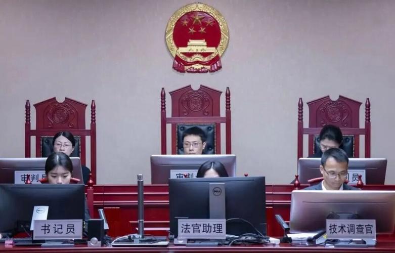 专利侵权诉讼庭审现场证据展示