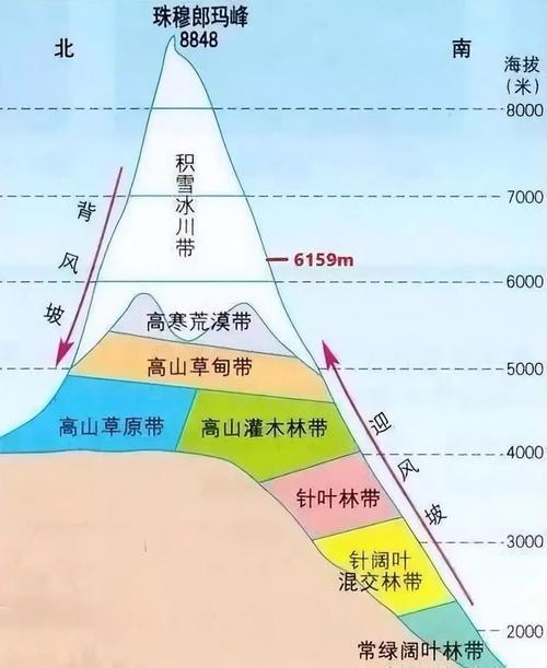 自然带上衍生问题，捡一波没人抢的长尾流量