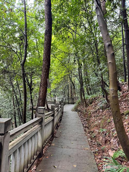 重庆南山森林步道
