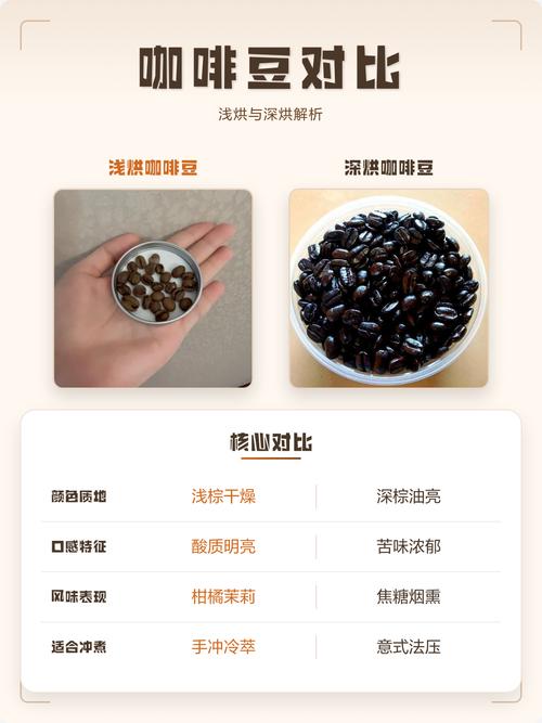 咖啡品鉴怎么入门,新手会不会踩坑?-我问答网