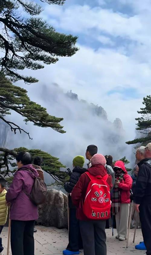 黄山风景区游客坐在迎客松下等云拍照实拍