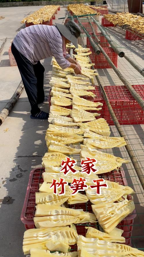 墙根下的笋干，晒得满巷都是香