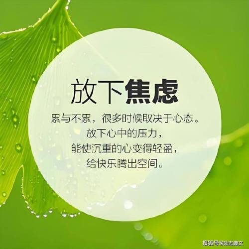 我自己的焦虑和放下