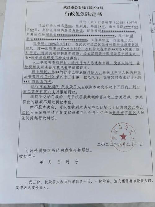 侵犯著作权治安行政处罚决定书实拍