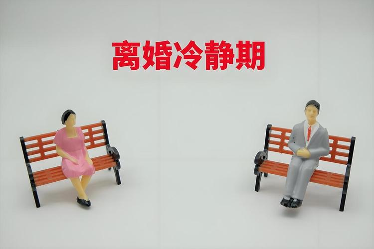 坑二：冷静期还是婚姻存续期，一方欠债就得一起还