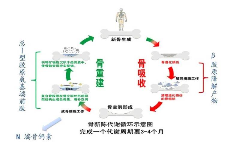 骨骼日常养护：别等疼了才养，日常小事就能稳住-仁者医