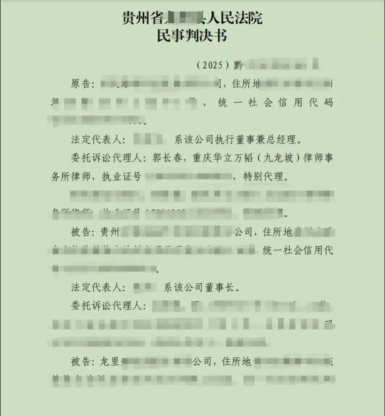二、当事人:谁是原告谁是被告?