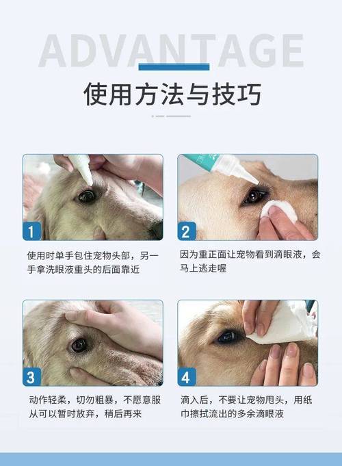 正确给宠物擦拭眼周操作示意图