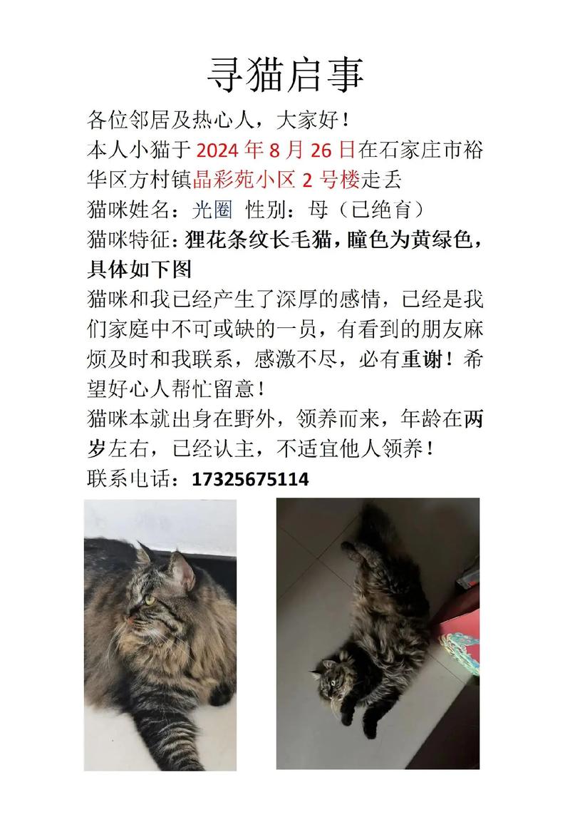 实地考察，我发现了什么猫腻