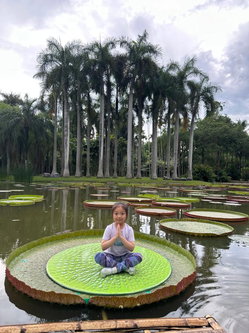 西双版纳热带植物园王莲