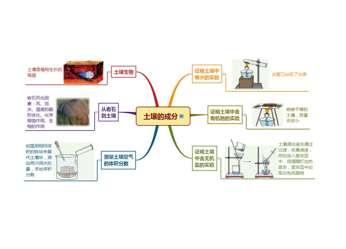 持续创新文化培育土壤概念图