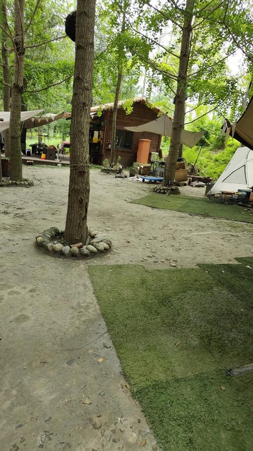 山林徒步开阔干燥的休息场地实拍