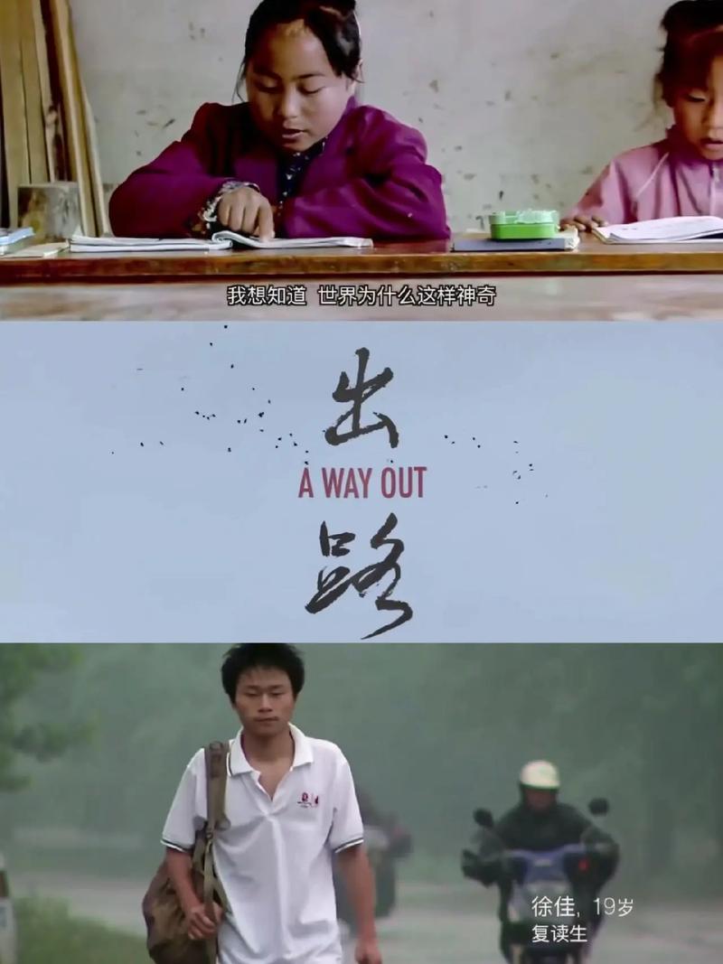 跨了之后，出路真的更好吗