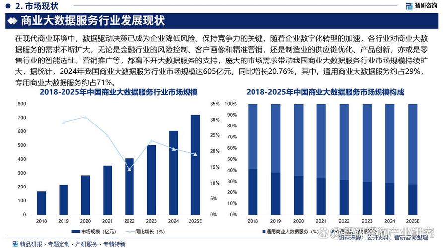 3、 服务商生态的分化与行业走向