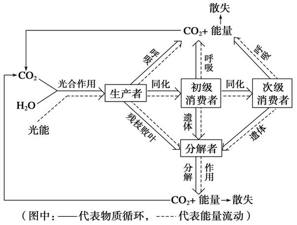 从垃圾山到金矿山：循环经济模式的破局与边界