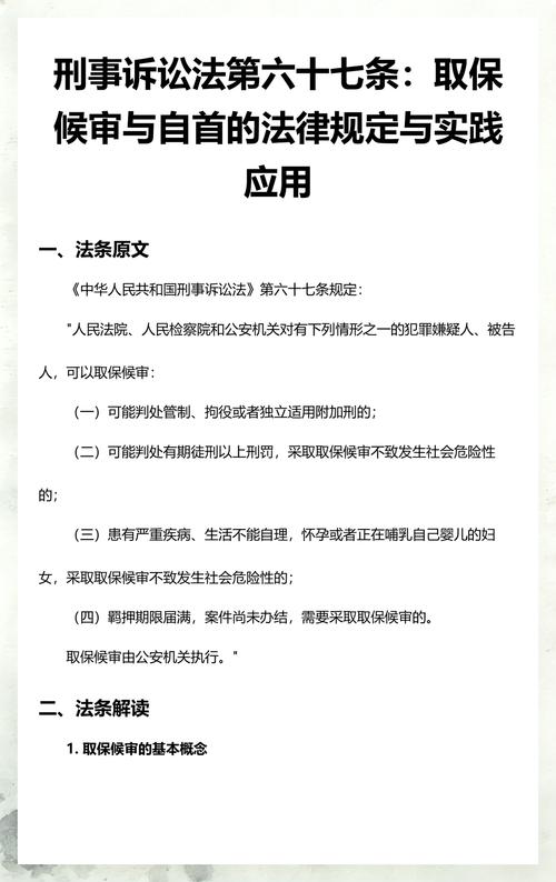 刑事诉讼法第六十七条取保候审法条截图