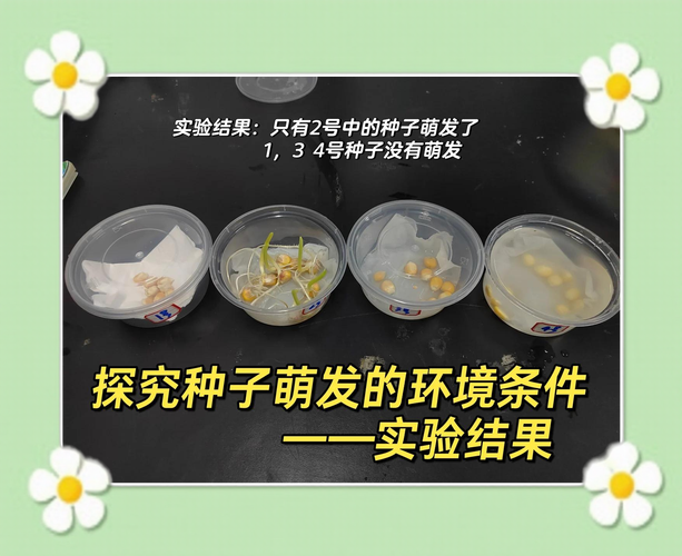 种子萌发实验中考常见易错点整理