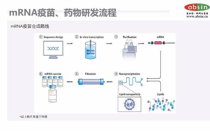个性化mRNA癌症疫苗制备流程示意