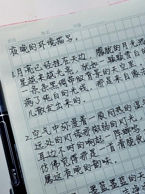 文字内容创作者深夜灵感写作场景