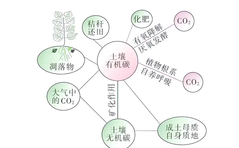 土壤构成矿物质有机质水空气示意插图