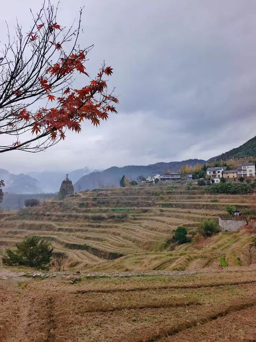 湖北南漳东巩古山寨梯田秋景