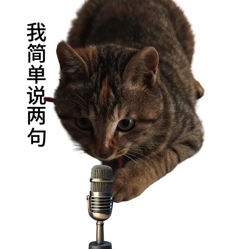 💣 特别提醒:小白最易犯的傻