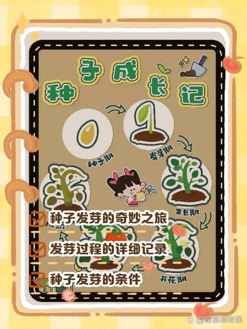 🌱 从“知”到“行”:日常生活中如何融入