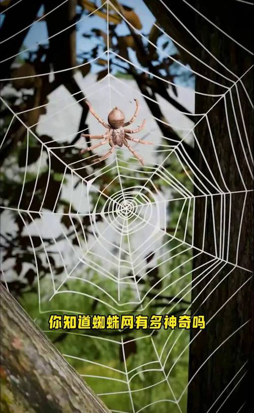 坑三:沟通渠道多到像蜘蛛网,重要信息反被淹死