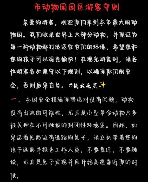 二、规则缝隙:他是怎么在你眼皮底下转走钱的
