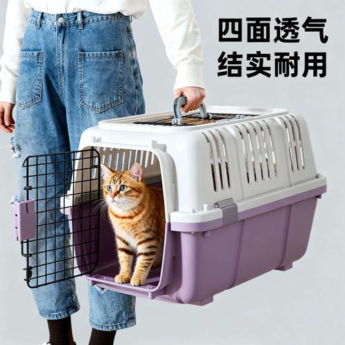 宠物托运航空箱外部手机号标记实拍
