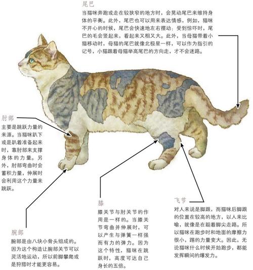 科研成果|从搞笑诺贝尔到改变世界,我们到底需要什么样的研究?