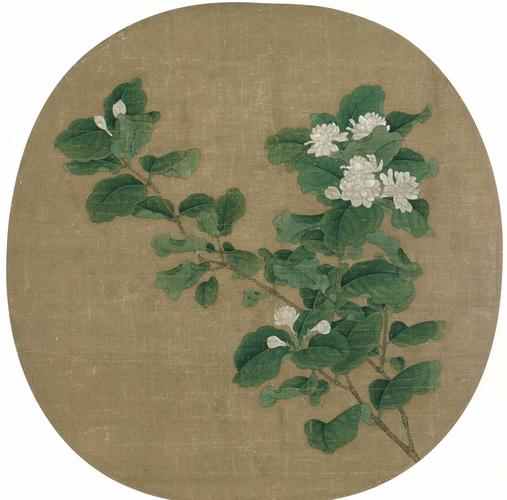 茉莉：一朵小白花的东方逆袭史-因为所以