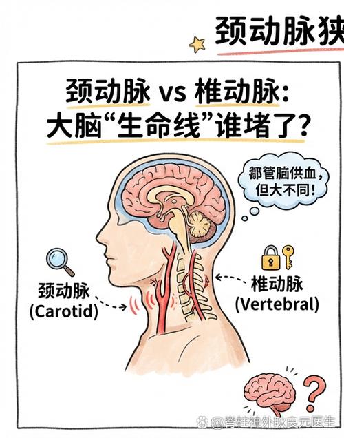 开源不是万能药，得摸清楚它的边界在哪