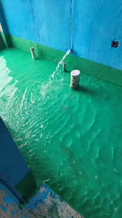 屋顶防水闭水试验验收现场