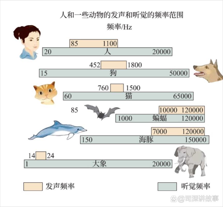 人类与宠物对烟花的听觉感知对比图