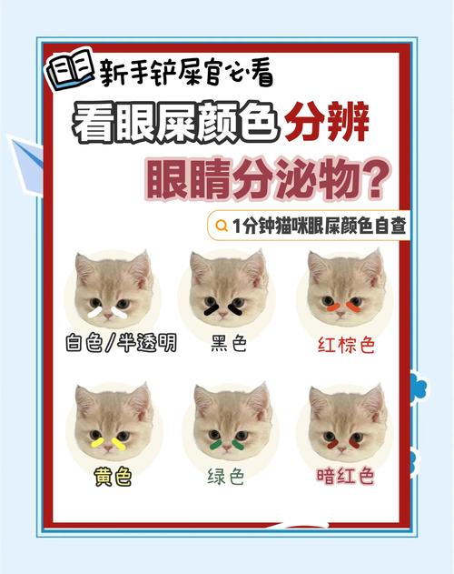 宠物不同性状眼屎对比图