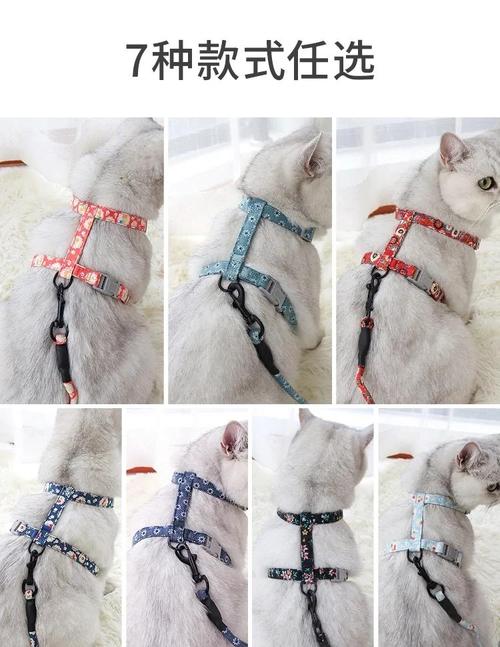 家用三种常见宠物牵引绳对比实拍