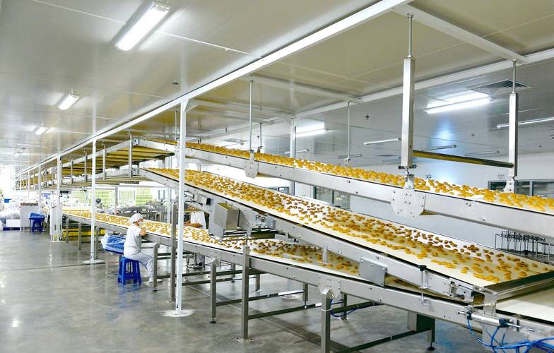 食品工厂异形曲奇包装机械生产线实拍